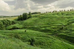 Зелёная симфония. / Тульская обл., р. Осётр.