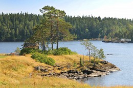 Скит / Карелия. Ладожское озеро. Остров Валаам.
