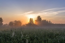 Сквозь туман. / ***