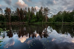 Лесное зеркало / Национальный парк "Мещерский"