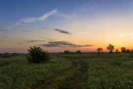 Утренними тропами. / ***