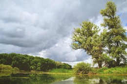 Озеро Большое Голое, Хоперский государственный природный заповедник / Июнь 2014