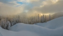 Зимний туман. / В горах Абхазии.