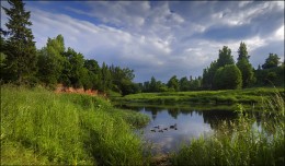 Река Оредеж. / Лето