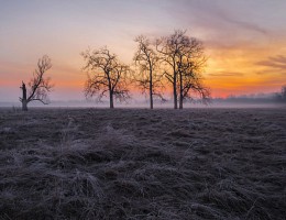 Краски солнца / Яркая палитра утреннего солнца!