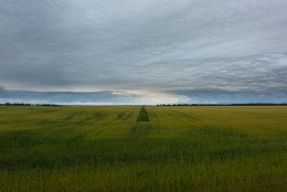 Полосы / На днях был спор, который вылился в техзадание для съемки пейзажа. На фото НЕ ДОЛЖНО БЫТЬ: воды, леса, тумана, холмистого, или горного ландшафта. Вот результат.