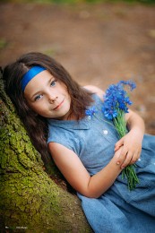 Маленькая фея / Маленькая девочка в лесу с васильками.