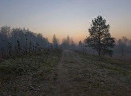 Холодный рассвет / Природа Беларуси