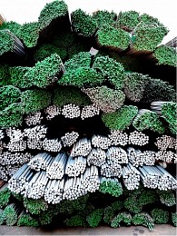 &quot;&quot; / Случайные предметы