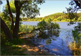 рыбацкое место / минское море