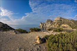 Ново Световские впечатления / Крым, море, собачка, облака