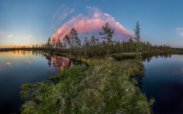 Роскошь белых ночей. / Ленинградская область, июнь, 2015.