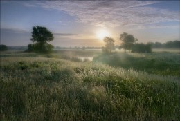 Утро купалось в рассветном тумане-2 / ...