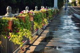 Висячий садик / Минск