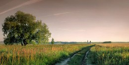 Дорога к храму.. / Нижегородская область, урочище Аненково, храм Троицы Живоначальной