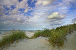 The Belgian dunes. / ***