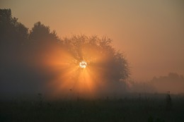 Брызги Солнца / Рассветный туман на окраине Гомеля