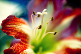 &nbsp; / Природа