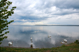 На озере. / Озеро Нарочь в Белоруссии.