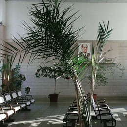 Инстаграмка б/н / Столбцы, 2015