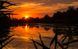 Закат на болоте / Крошечный прудик, почти болото, недалеко от Ростова-на-Дону.
