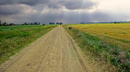 за деревней / полевая дорога, приближается дождь