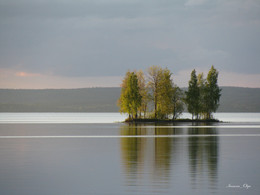 Карелия / Карелия, озеро Сандал. Вечернее солнце.