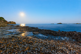 Янтарный берег / Сухие водоросли, лунная дорожка, море и одинокая сторожевая башня. Местечко Нора рядом с Пулой, Сардиния.
