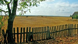 осенний сон / начало осени, село