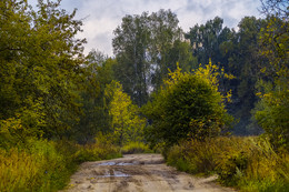 Дорога в осень / Дорога в осень