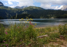 Црно-Езеро / Црно-Езеро (в переводе «Чёрное озеро») красивейшее горное озеро в Черногории, провинция Жабляк