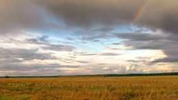 русское поле / после дождя за деревней