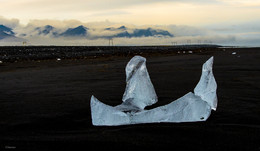 Волк и пес. / Исландия. Голубой лед на черных песках.