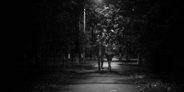 Вечерне-осенняя прогулка / в дендрарии города Жуковский