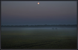 Ночной дозор. / Лунный свет вырывает из тумана силуэты всадников.