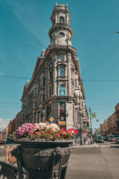 Август в Санкт-Петербурге. / Август, 2015 год.
