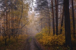 ''В гостях у осени'' / ***