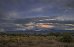 &quot;Африканский закат&quot; / гора Килиманджаро.Кения.