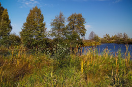 Малиновское озеро / Малиновское озеро в пойме р. Клязьмы в Орехово-Зуевском районе, в 1 км к северо-востоку от ст. Дрезна. Озеро вытянуто с запада на восток на 1 км при ширине около 60 м и соединено безымянным ручьем с р. Клязьмой.