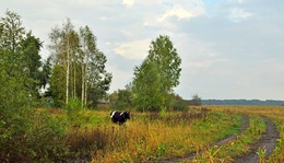 в деревне / вечер, осень, простой сельский вид