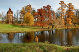 У пруда / Царское Село