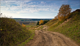 Дорога в осень / Осень, дорога