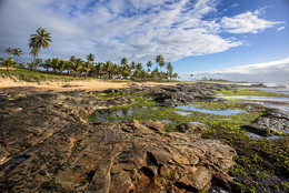 a wild beach.. / Бразилия