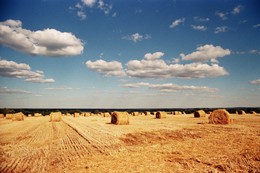 Золото осени / Золотая осень