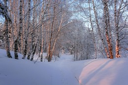 Зимний вечер. / ***