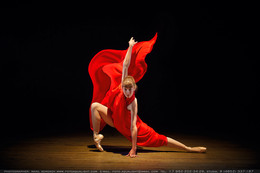 The beauty of ballet / Белые лебеди Театра балета ДК Добрынина
Фото: Михаил Семенов