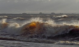 Осенний шторм / Петербург. Репино