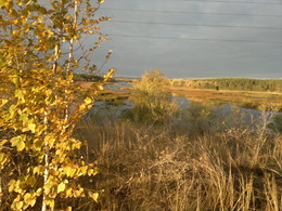 в золото / река Сызранка в камышах