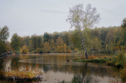 &nbsp; / Осенние зарисовки