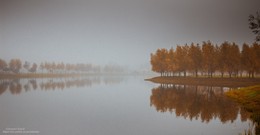 Озеро в тумане / Озеро в Новобелецком р-не г.Гомеля